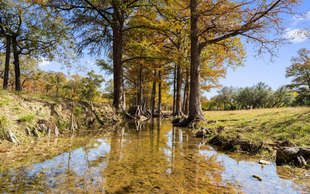 Cypress Islands (Cypress Mill, TX)