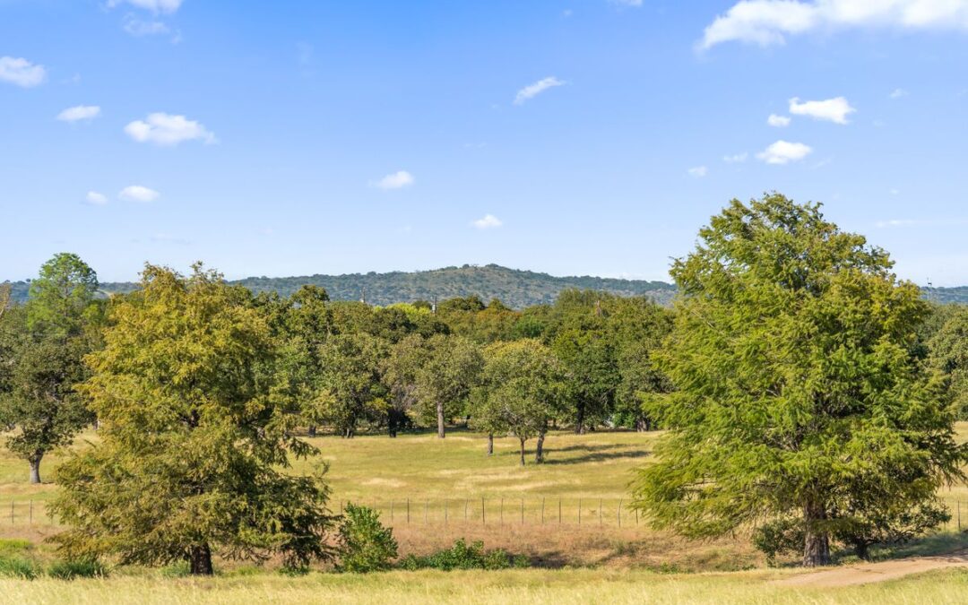 Cat Claw Ridge