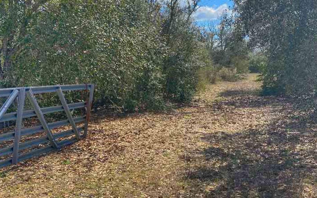 1660 Zimmerscheidt Rd (Columbus, TX)