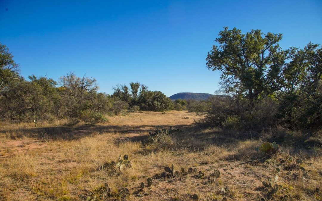 Texas Red (Castell, TX)